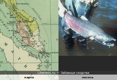 Карта Малаккского полуострова похожа на лосося