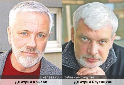 Дмитрий Крылов и Дмитрий Брусникин