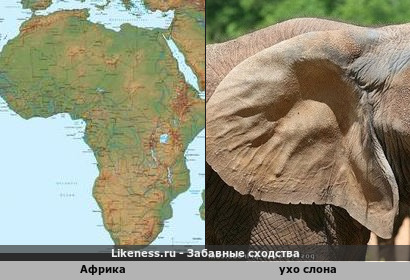 Африканский континент напоминает ухо африканского слона