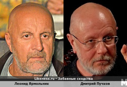 Леонид Ярмольник похож на Дмитрия Пучкова