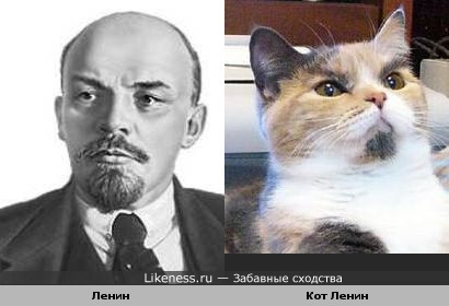 Ленин превращает на кота Ленина