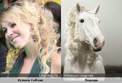 Ксения Собчак И лошадь
