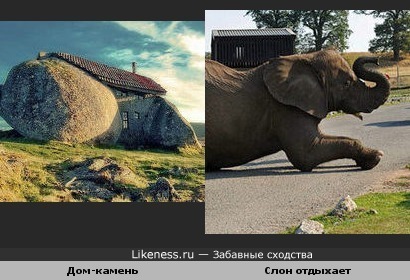 Дом камень похож на слоника