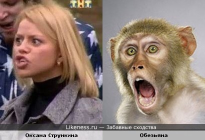 Оксана Стрункина похожа на Обезьяну