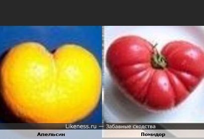 Мутированный апельсин похож на мутированный помидор)