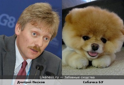Дмитрий Песков похож на собачку БУ