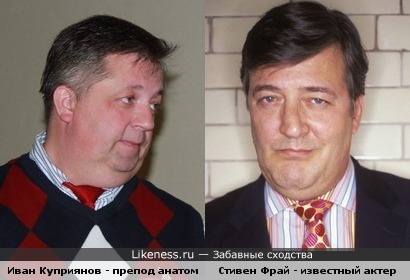 Иван Куприянов похож на Стивена Фрая