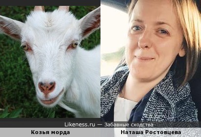 Наташа Ростовцева похожа на козью морду