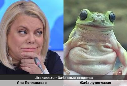 Яна Поплавакая похожа на Жаба Лупоглазая