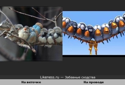Птички похожи на кадр из мультфильма студии "Pixar"