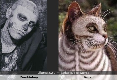 Zombieboy похож на раскрашенного кота