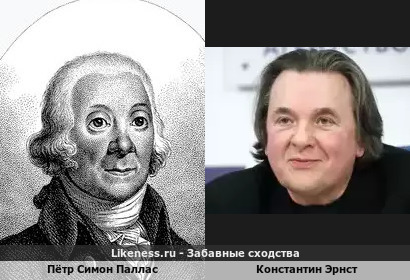 Пётр Симон Паллас похож на Константина Эрнста