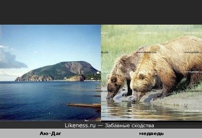Гору Аю-Даг стали называть &quot;Гора-медведь&quot; из-за сходства с пьющим медведем