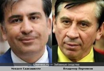 Михаил Саакашвили и Владимир Пермяков