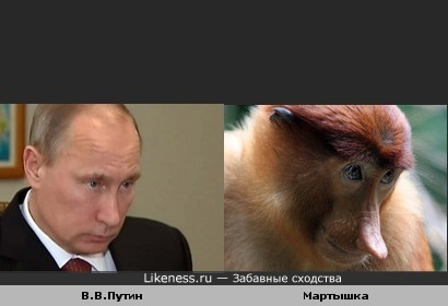 Путин похож на мартышку