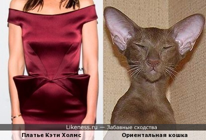 Платье Кэти Холмс похоже на ориентальную кошку