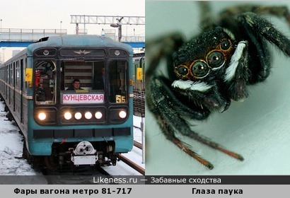 Фары вагона метро похожи на глаза паука