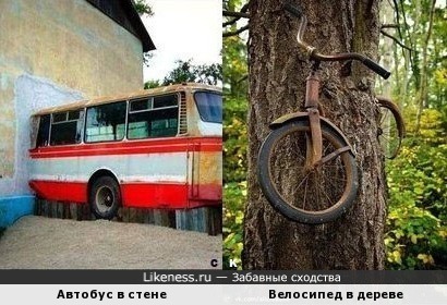 Автобус в стене и Велосипед в дереве