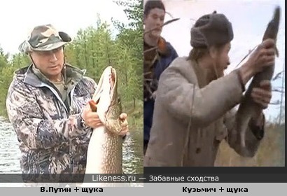 - Здесь рыбы нет. Владимир Владимирович, здесь рыбы нет! За дальний кордон ушла.