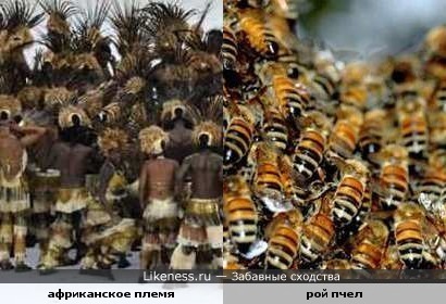 Расцветка штанов в одном африканском племени похожа на пчел