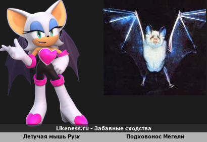 Установлен биологический вид Руж