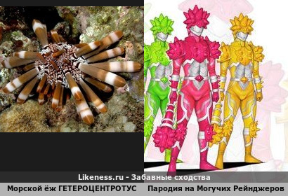 Ёж прототип