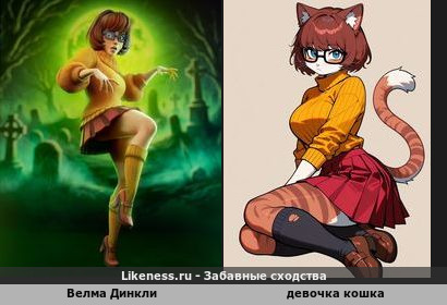 Наверно, в следующей жизни, когда я стану кошкой&hellip;