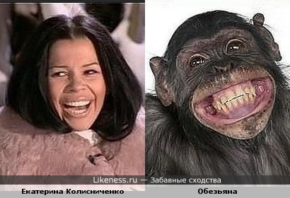 Екатерина Колисниченко похожа на Обезьяну