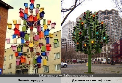 Птичий городок напоминает дерево из светофоров