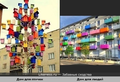 Птичий городок похож на дом с разноцветными балконами.