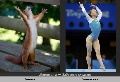 Белочка-гимнастка :)
