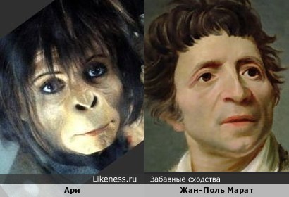 Персонаж «Планеты обезьян» и Жан-Поль Марат