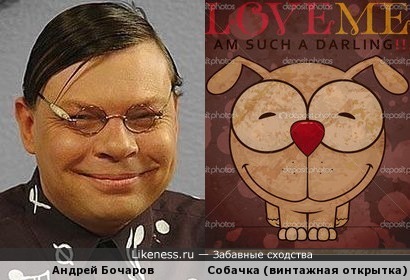 Собачка с винтажной открытки напоминает Андрея Бочарова