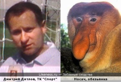 Жесткое сравнение. Корреспондент канала &quot;Россия-2&quot; Д.Дятлов и Носач (обезьянка)