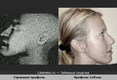 Тотальная промывка мозгов: Ксения Собчак похожа на профиль из &quot;Вайомингского инцидента&quot; .