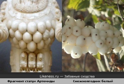 Статуя Артемиды Эфесской напомнила плоды снежноягодника)
