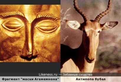 Фрагмент золотой микенской маски (т. н. &quot;маски Агамемнона&quot;) - это шарж на антилопу)