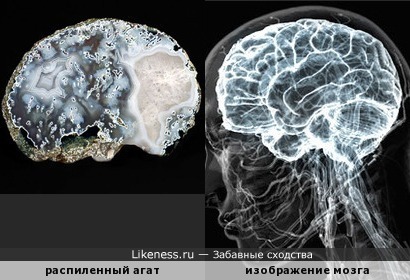 Распиленный агат напоминает изображение мозга