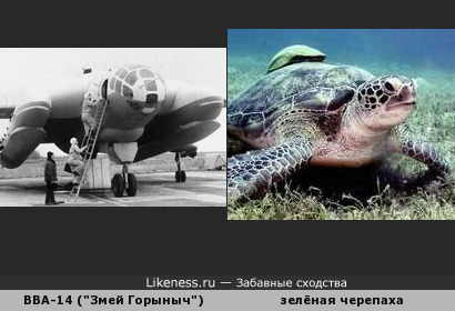 Фюзеляж самолёта-амфибии ВВА-14 (&quot;Змей Горыныч&quot;) похож на морскую зелёную черепаху