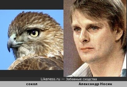 Клювик и Носик: есть в этом актёре что-то от благородной птицы.)