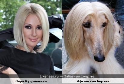 http://img.likeness.ru/uploads/users/1/Lera_Kudryavtseva_dog.jpg